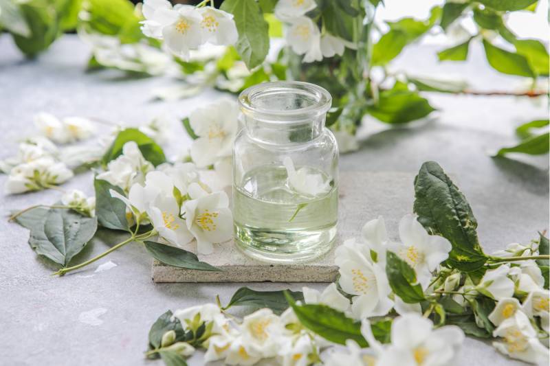 Jasmine Hydrosol Benefits: A Floral Elixir for Skin & Mind