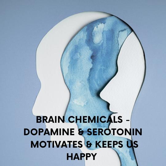 Essential Oils & Neurotransmitters – How the former trigger our Brains to release Serotonin and Dopamine