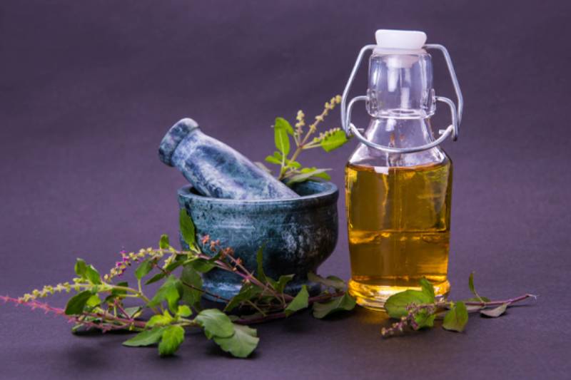 Basil Essential Oil Benefits: Applications and Safety Tips