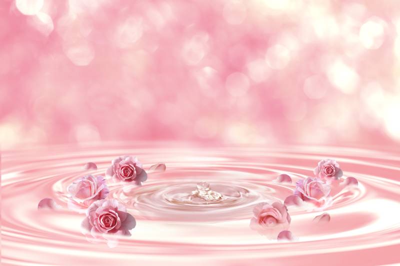 Rose Hydrosol: A Natural Tonic for Your Skin and Body
