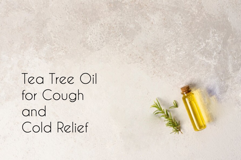 Tea Tree Oil for Cough and Cold Relief: Breathe Easy